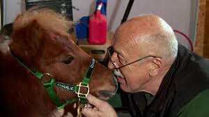 As a matter of fact, young charles was helping around the farm and his father's clinic by the age of five! The Incredible Dr Pol A Common Sense Approach Agdaily