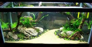 Adventures In Aquascaping Aquarium Sand Fish Tank Design Fish Tank Gravel