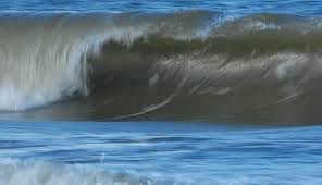 Ein (oder selten eine) tsunami (jap. Tsunami Nordsee Norderney Nordsee Magazin