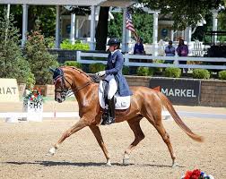 Folk, Bacon, Woodcock, Berger Win Youth Divisions at 2024 U.S. Dressage  Championships