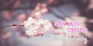 Browse flowers prices, photos and 97 reviews, with a rating of 5.0 out of 5. The 8 Best Options For Flower Delivery In San Luis Obispo Flower Delivery Reviews