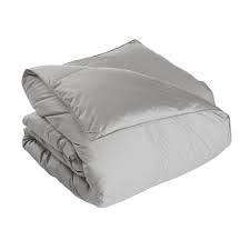 Maybe you would like to learn more about one of these? The Company Store Alberta Light Warmth Platinum Queen Euro Down Comforter