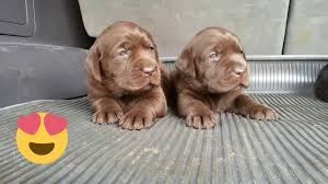 erasmo vergara (@erasmovergara)