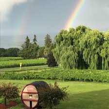 Image result for Wiesneria