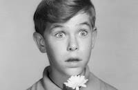 The View from Pompey's Head (1955)