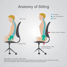 Looking for the best chair for posture? What Is The Correct Ergonomic Sitting Posture In The Office