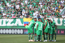 Chapecoense oficializa cortes nos salários e no direito de imagem. Tabela De Jogos Da Chapecoense No Brasileirao Serie A 2019 Confederacao Brasileira De Futebol