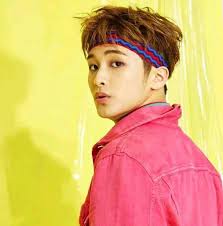 NCT HAECHAN INTERNATIONAL FANCLUB(LEE DONGHYUCK  OUR FULL SUN  )