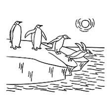 A high resolution version will load in your browser. Penguin Coloring Pages Free Printable For Kids