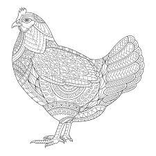 Adult antistress coloring page with rooster. Chicken Zentangle Stylized For Coloring Book For Adult Tattoo Stock Vector Illustration Of Doodle Pages 78111035