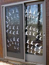 Search for results at answersdirectory.co. Stop Bird Window Collisions Forsyth Audubon