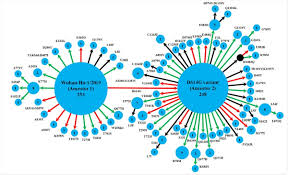 Virus mutations create genetic diversity, which is subject to the opposing actions of selection and random genetic drift, both of which are directly affected by the size of the virus population. Could The High Rate Of Mutations Bring About Sars Cov 2 S Extinction In India