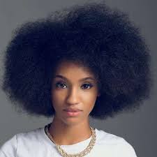 Epingle Sur 4c Coily Ziggly Hair