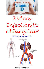 Pin On Kidney Disease