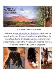 Fort bend county, rosenberg, tx id: Baerental German Shepherd Puppies For Sale In Texas By Baerental German Shepherd Issuu