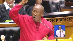 Julius malema has already south africa's firebrand opposition politician julius malema has urged people not to fall for the trap of going to church, saying they will die after contracting coronavirus. Eff Julius Malema No Confidence Debate In Jacob Zuma Youtube