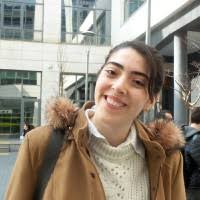 80+ “Efeoğlu” profili