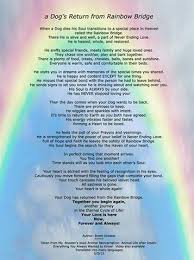 But what does it mean? Rainbow Bridge I Would Like To Dedicate This To My First Dog Jebbie I Love And Miss You My Friend Rainbow Bridge Dog Rainbow Bridge Poem Rainbow Bridge