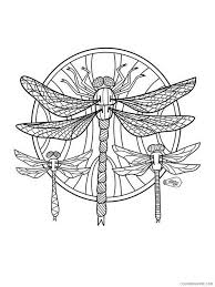Free printable dragonfly coloring pages for kids. Animal Zentangle Coloring Pages Zentangle Dragonfly 3 Printable 2020 306 Coloring4free Coloring4free Com