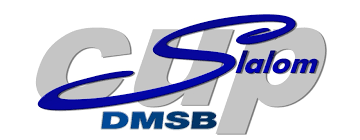 What does dmsb stand for in academic & science? Slalom Im Dmsb Slalom Cup
