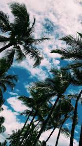 Palme Androidwallpaper Earring Frisuren Iphonewallpaper Necklace Pcwallpaper Wallpaper Womanrings Womensbag Wristbandw Resim Duvari Resim Baski Resim