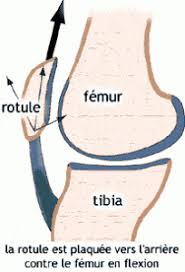 Douleur du genou le figaro santé. Douleur Au Genou Les 5 Causes De Douleurs Selon L Osteopathe