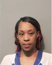 ᐅ Illinois Criminal Records 2009-2025