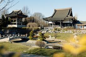 Find friendly welcoming local tokyo hosts who will help you navigate this lively city. En Sampling Japanese Culture With The Locals In Dusseldorf S Little Tokyo Friends Of Friends Freunde Von Freunden