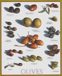 Olives Types Of Olives Olive Cooks Illustrated