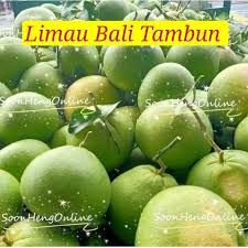 Tambun pomelo gochin agro farm 2,81 km. Buah Limau Bali Ipoh