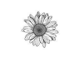 900 watercolor background images download hd backgrounds. Sunflower Tattoos Daisy Tattoo Small Tattoos