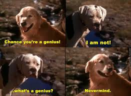 Homeward Bound Homeward Bound Movie Movies The Incredibles