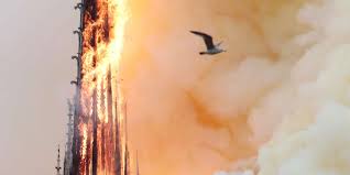 Читать книгу в оригинале на французском. Notre Dame De Paris Des Degats Pour L Instant Inestimables