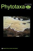 Image result for Triainolepis