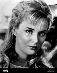 Robert rossen hi-res stock photography and images