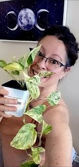 Marble pothos air purifier plant collector