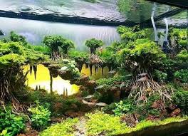 Maybe you would like to learn more about one of these? 15 Ide Batu Pasir Pasir Aquascaping Akuarium