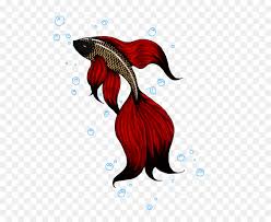 These fish continued to mate and produce more colorful offspring. Siamese Fighting Fish Koi Goldfish Aquarium Betta Nohat