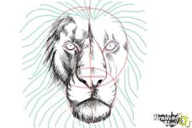 This is a super easy follow along drawing lesson tutorial. How To Draw A Lion Face How To Draw A Lion Face How To Draw A Lion Lion Painting
