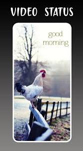 Good morning english song video download. Good Morning Videos With Songs Full Screen For Android Apk Download