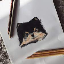 Fun and easy guide to drawing cartoons and. I M Not Good At Drawing Animals But I Tried To Draw A Dog What Do You Think Jazza