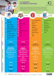 The Partners Of E Commerce Companies Ecommerce Infographic Marketing Strategy Social Media Email Marketing Services