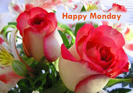 Good morning monday flowers quotes. Happy Monday Good Morning Pictures Quotes With Rose Flowers Holiday Wishes