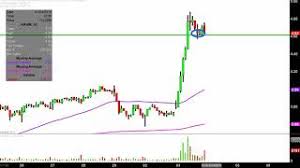 arrowhead research corp arwr stock chart technical