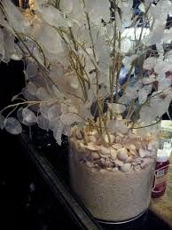 Nice Little Decoration With Shells And Some Artificial Flowers Kunstblumen Blumen Basteln