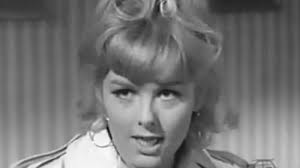 Perry Mason (TV Series 1957–1966)