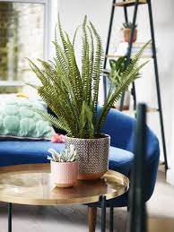 Give your plants somewhere beautiful to live! Best Indoor Plant Pots For House Plants Indoor Planters