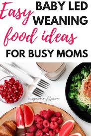 Maybe you would like to learn more about one of these? Baby Led Weaning Food Ideas For Busy Moms Easy Mommy Life