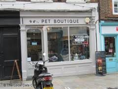 1,710 likes · 253 talking about this. Pet Boutique 14 Church Street Twickenham Pet Shops Near Twickenham Rail Station