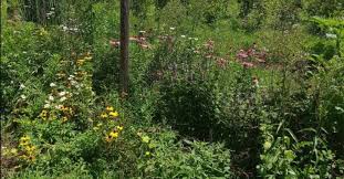 Nothing makes me happier than kneeling down in the dirt with the soft spring sunshine on my garden is much like me, eclectic and ramshackle, going through patches of being neat and tidy, then falling back again. 14 Fall Gardening To Do And To Don T List